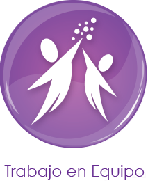 TRABAJO EN EQUIPO